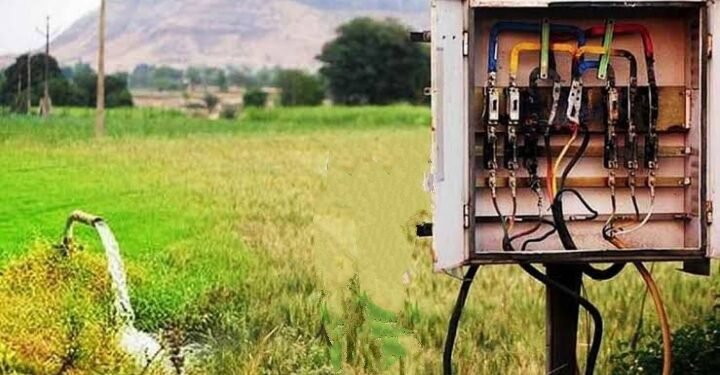 चंद्रपूर जिल्हात शेतात पिकांना पाणी देण्यासाठी गेलेल्या पितापुत्राला लागला विद्युत शॉक, पित्याचा जागीच मृत्यू.