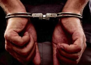 रिक्षा चोरी करणाऱ्या सराईत गुन्हेगाराला वाकड पोलिसांनी केले अटक तीन गुन्हे उघड सहा लाखाचा मुद्देमाल जप्त.