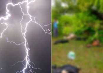 आंबे तोडायला शेतात गेले आणि अंगावर वीज कोसळून एकाचा जागीच मृत्यू, वाशिम मालेगाव तालुक्यात घटना.