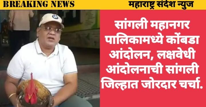 सांगली महानगर पालिकामध्ये कोंबडा आंदोलन, लक्षवेधी आंदोलनाची सांगली जिल्हात जोरदार चर्चा.