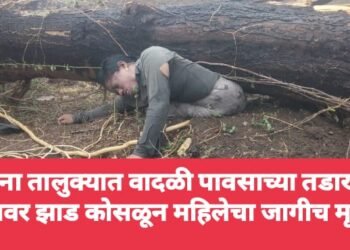 कोरपना तालुक्यात वादळी पावसाच्या तडाख्यात, अंगावर झाड कोसळून महिलेचा जागीच मृत्यू.