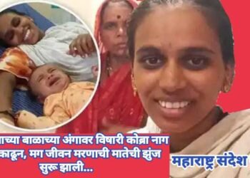 4 महिन्याच्या बाळाच्या अंगावर विषारी कोब्रा नाग फणा काढून, मग जीवन मरणाची मातेची झुंज सुरू झाली…