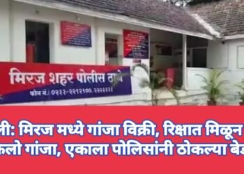 सांगली: मिरज मध्ये गांजा विक्री, रिक्षात मिळून आला 7 किलो गांजा, एकाला पोलिसांनी ठोकल्या बेड्या.