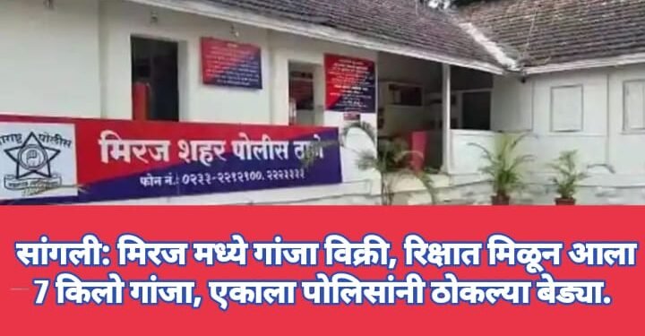 सांगली: मिरज मध्ये गांजा विक्री, रिक्षात मिळून आला 7 किलो गांजा, एकाला पोलिसांनी ठोकल्या बेड्या.