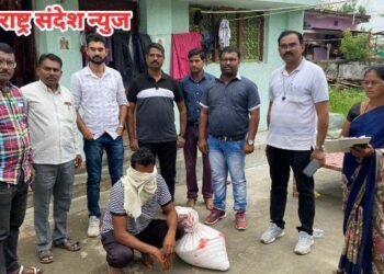 धाब्यात बोगस बिटी बियाणे जप्त, जिल्हा परिषद कृषी विभागाची कारवाई: एक आरोपीला अटक