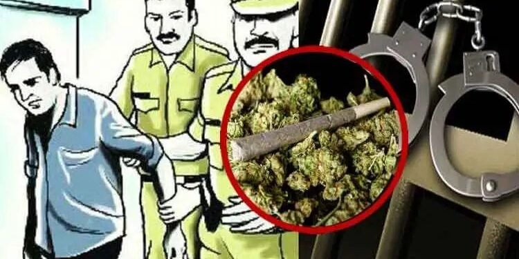 अंमली पदार्थ विरोधी पथकाने एकुण ७,३८,८००/- रुपये किंमतीचा २९ किलो गांजा केला जप्त…