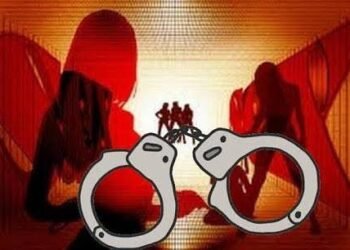 नागपुरात अल्पवयीन मुलीकडून दलाल करून घेत होते देहव्यवसाय, पोलिसांनी दोन महिला दलालांना ठोकल्या बेड्या.