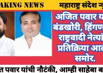 अजित पवार यांची बंडखोरी, हिंगणघाट राष्ट्रवादी नेत्यांचा प्रतिक्रिया आल्या समोर.