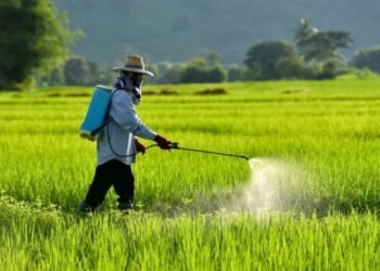 शेतकऱ्यांनो पिकांवर किटकनाशके वापरतांना काळजी द्या, नाही तर ते ठरू शकते प्राणघातक.