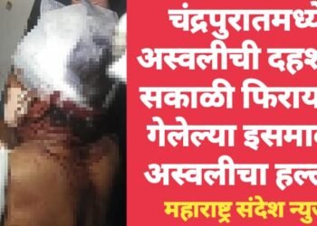 चंद्रपुरातमध्ये अस्वलीची दहशत; सकाळी फिरायला गेलेल्या इसमावर अस्वलीचा हल्ला.