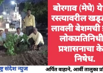 बोरगाव (मेघे) रस्त्यावरील खड्ड्यात लावली बेशमची झाडे; लोकप्रतिनिधी व प्रशासनाचा केला निषेध.