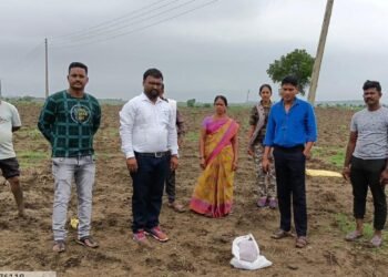 चक्क पोलीस पाटलाकडे सापडले राज्यात बंदी असलेले बियाणे: माय-लेकावर तालुका कृषी अधिकाऱ्यांची कार्यवाही.