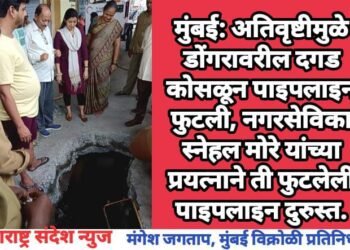मुंबई: अतिवृष्टीमुळे डोंगरावरील दगड कोसळून पाइपलाइन फुटली, नगरसेविका  स्नेहल मोरे यांच्या प्रयत्नाने ती फुटलेली पाइपलाइन दुरुस्त.