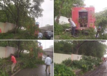 सामाजिक कार्यकर्ता उमेश इंगळे यांच्या निवेदनाची दखल, अपघातास आमंत्रण देणाऱ्या झाडांची मनपा अग्निशमन दलाने केली कटाई.