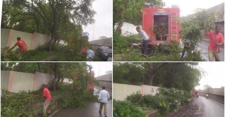 सामाजिक कार्यकर्ता उमेश इंगळे यांच्या निवेदनाची दखल, अपघातास आमंत्रण देणाऱ्या झाडांची मनपा अग्निशमन दलाने केली कटाई.