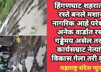 हिंगणघाट शहरातील रस्ते बनले मशान, नागरिक आहे परेशान, अनेक वार्डात रस्त्ये गड्डेमय असेल तर या कार्यसम्राट नेत्यांचा विकास गेला तरी कुठे?