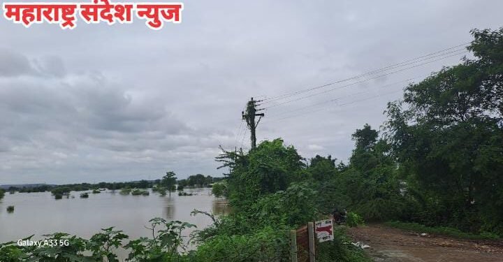 विसापूर गावात पूरस्थिती  हजारो हेक्टर शेती पुराखाली, शेतकऱ्यांचा शेत जमिनीचे पंचनामे करून नुकसान भरपाई द्या: प्रितम पाटणकर