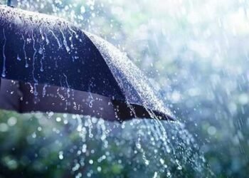 वाशिम जिल्हात मागील 24 तासात सरासरी 19.1 मि.मी. पाऊस.