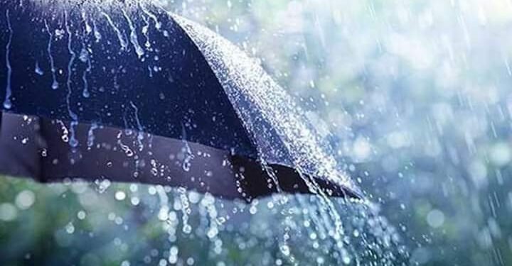 वाशिम जिल्हात मागील 24 तासात सरासरी 19.1 मि.मी. पाऊस.