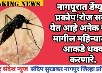 नागपूरात डेंग्यूचा प्रकोप!रोज समोर येत आहे अनेक रुग्ण, मागील महिन्यातील आकडे थक्क करणारे.