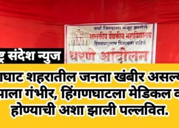 हिंगणघाट शहरातील जनता खंबीर असल्यामुळे नेता झाला गंभीर, हिंगणघाटला मेडिकल कॉलेज होण्याची अशा झाली पल्लवित.