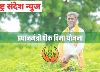 पावसामुळे झालेल्या पिक नुकसानीची सुचना 72 तासाच्या आत द्यावी प्रधानमंत्री पिक विमा योजना नुकसान भरपाईसाठी सूचना आवश्यक.