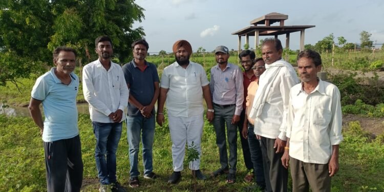 माजी मंत्री आ. रणजीत कांबळे यांच्या वाढदिवसा निमित्त पोहना सर्कल भिवापूर गावाच्या वृक्षारोपण करून कांबळे यांचा वाढदिवस साजरा.