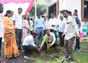 वर्धा: तहसिल परिसरात वृक्षरोपण करुन महसूल सप्ताहाचा शुभारंभ, यावेळी करण्यात आले विविध दाखल्याचे वितरण.