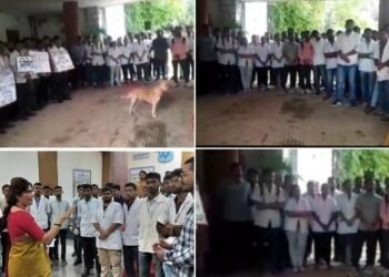 नागपूर येथे गेल्या दहा दिवसांपासून पशुवैद्यकीय विद्यार्थ्यांचा आपल्या विविध मागण्यासाठी राज्यव्यापी आंदोलन सूरू