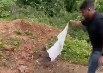 पेण तालुक्यातील भाल येथील जिल्हा परिषद शाळेमध्ये वर्ग चालू असताना धामण सापाचे दर्शन.