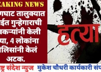 हिंगणघाट तालुक्यात सराईत गुन्हेगाराची गावकऱ्यांनी केली हत्या, 4 लोकांना पोलिसांनी केलं अटक.