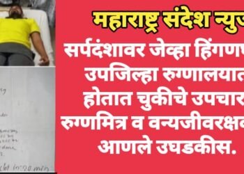 सर्पदंशावर जेव्हा हिंगणघाट उपजिल्हा रुग्णालयात होतात चुकीचे उपचार, रुग्णमित्र व वन्यजीवरक्षकाने आणले उघडकीस.