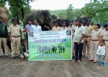 गडचिरोली जिल्यातील एक मेव हत्ती कॅम्प असलेल्या कमलापूर येथे जागतिक हत्ती दिवस मोठया उत्साहत साजरा.