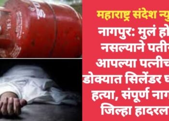 नागपुर: मुलं होत नसल्याने पतीने आपल्या पत्नीच्या डोक्यात सिलेंडर घालून हत्या, संपूर्ण नागपुर जिल्हा हादरला.