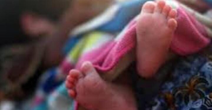 सांगलीत माता झाली वैरिणी.. 15 दिवसांच्या बाळाला रस्तावर उघड्यावरच फेकले, पोलिसांचा तपास सुरू.