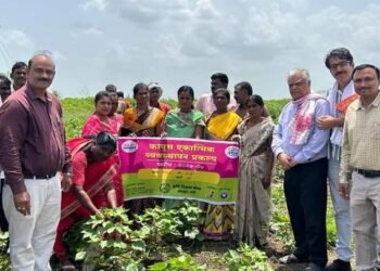 गुलाबी बोंडअळीचे व्यवस्थापन सामूहिकरीत्या करणे लाभदायक बोपापूर येथे बोंडअळी व्यवस्थापन प्रशिक्षण.