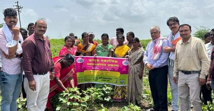 गुलाबी बोंडअळीचे व्यवस्थापन सामूहिकरीत्या करणे लाभदायक बोपापूर येथे बोंडअळी व्यवस्थापन प्रशिक्षण.