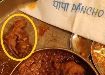 खबरदार: मुंबई येथे प्रतिष्ठित रेस्टॉरंट हॉटेलमध्ये चिकन व मटणाच्या डिशमध्ये चक्क उंदराचे मांस.