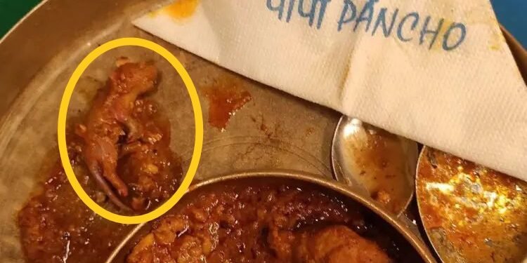 खबरदार: मुंबई येथे प्रतिष्ठित रेस्टॉरंट हॉटेलमध्ये चिकन व मटणाच्या डिशमध्ये चक्क उंदराचे मांस.