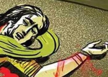 नागपूरात मुलानेच केली जन्मदात्या आईची निर्घृण हत्या, कारण वाचून व्हाल थक्क.