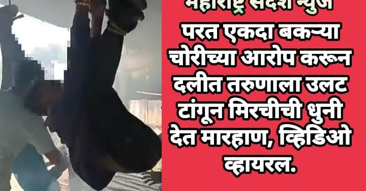 परत एकदा बकऱ्या चोरीच्या आरोप करून दलीत तरुणाला उलट टांगून मिरचीची धुनी देत मारहाण, व्हिडिओ व्हायरल.