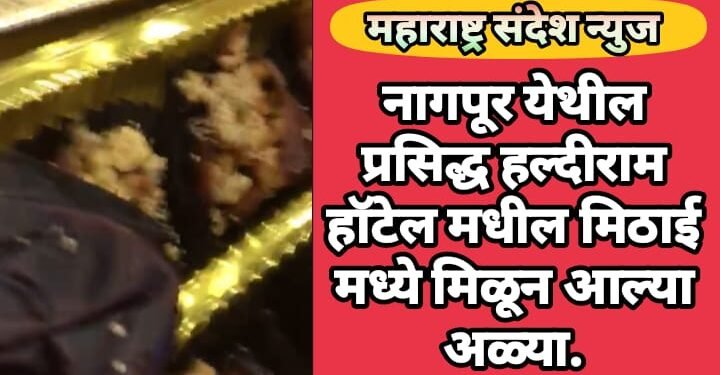 नागपूर येथील प्रसिद्ध हल्दीराम हॉटेल मधील मिठाई मध्ये मिळून आल्या अळ्या.