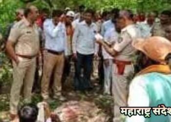 वर्धा जिल्हात वाघाच्या हल्ल्यात शेतकऱ्याचा मृत्यू वन परिक्षेत्र अधिकाऱ्याच्या कार्यक्षमतेवर प्रश्नचिन्ह.