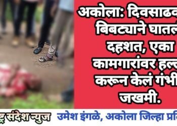 अकोला: दिवसाढवळ्या बिबट्याने घातली दहशत, एका कामगारांवर हल्ला करून केलं गंभीर जखमी.