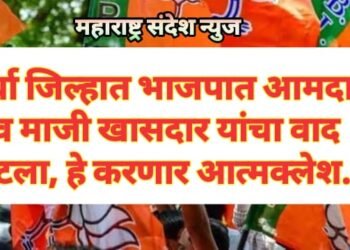 वर्धा जिल्हात भाजपात आमदार व माजी खासदार यांचा वाद पेटला, हे करणार आत्मक्लेश.