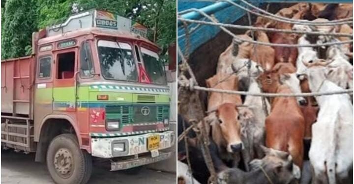 बल्लारपुर पुलिस कि बड़ी कार्यवाही, गौ तस्करी करते ट्रक समेत दो आरोपी गिरफ्तार व एक फरार.