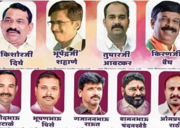 भारतीय जनता पक्षाने दिली नवनियुक्त पदाधिकाऱ्यांचे खांद्यावर दिली हिंगणघाट विधानसभा क्षेत्राची धुरा.