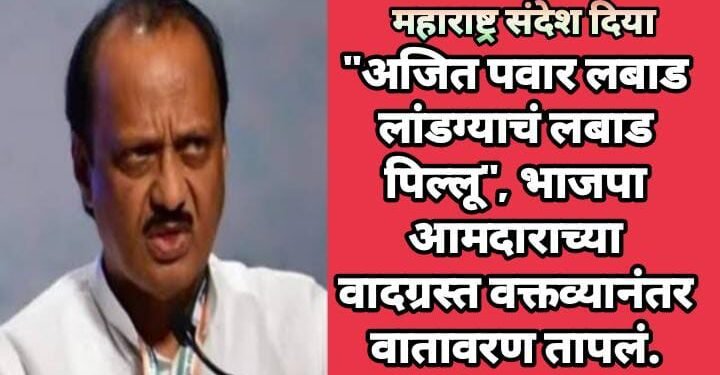 “अजित पवार लबाड लांडग्याचं लबाड पिल्लू”, भाजपा या आमदाराच्या वादग्रस्त वक्तव्यानंतर वातावरण तापलं.