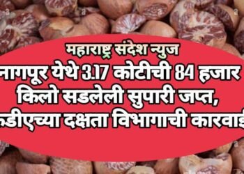 नागपूर येथे 3.17 कोटीची 84 हजार किलो सडलेली सुपारी जप्त, एफडीएच्या दक्षता विभागाची कारवाई.