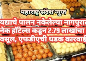 कायद्याचे पालन नकेलेल्या नागपुरातील अनेक हॉटेल्स कडून 2.79 लाखांचा दंड वसूल, एफडीएची धडक कारवाई.